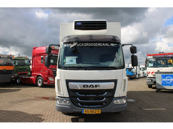 DAF LF 210 + EURO 6 + CARRIER + XARIOS 600 MT - Koelwagen vrachtwagen: afbeelding 3