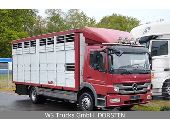 Mercedes-Benz Atego 1329  4x2  KA-BA Viehtransporter Großvieh  - Veewagen vrachtwagen: afbeelding 1