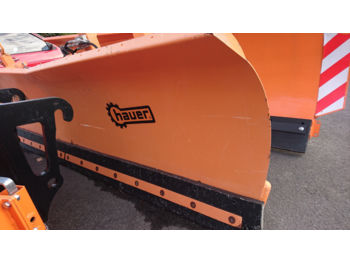 Hauer HsH 3000  - blad