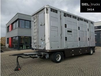 Pezzaioli Menke-Janzen / 3 Stock / Hubdach / Alu-Felgen  - Veewagen aanhangwagen