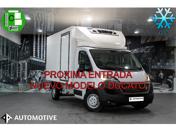 Nieuw Koelwagen Fiat Ducato Maxi 35 | Mantenimiento 0ºC: afbeelding 1