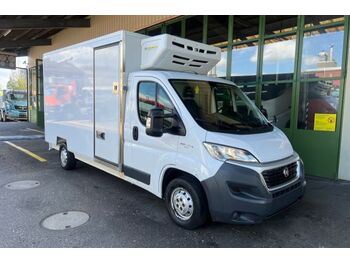 Fiat Ducato 2.3 - 7 Stück verfügbar  - Koelwagen