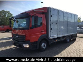 Bestelwagen gesloten laadbak voor het vervoer van dieren Mercedes-Benz 821L" Neu" WST Edition" Menke Einstock Vollalu: afbeelding 1