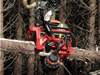 Boomvelkop WARATAH H480C