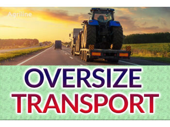 CATERPILLAR ✅ OVERSIZE TRANSPORT ✅ MACHINE TRANSPORT IN EUROPE ✅ - Bosbouwmachine