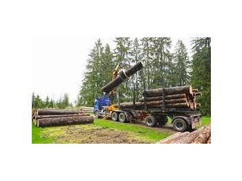 Uitrijwagen Scania DOLL M134 kombizug do drewna dłużycy lasu stosu epsilon loglift doll huttner volvo: afbeelding 1