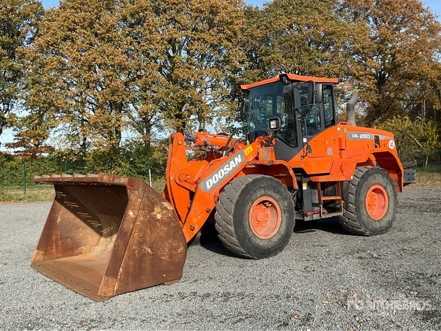 Wiellader 2016 Doosan DL250-3 Wheel Loader