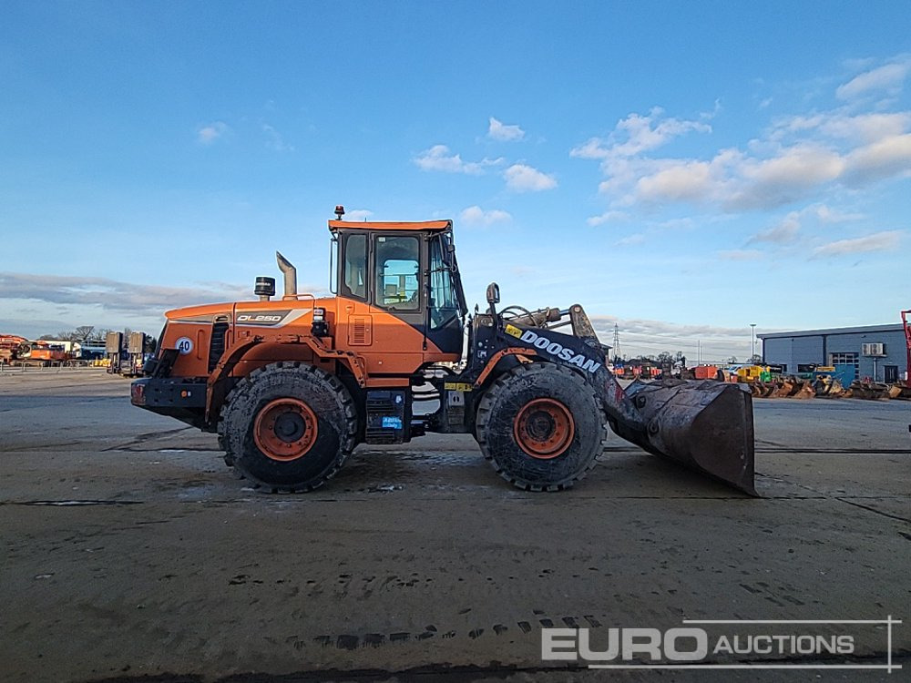 Wiellader 2021 Doosan DL250-5