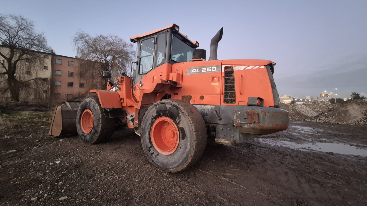 Wiellader DOOSAN DL250-3