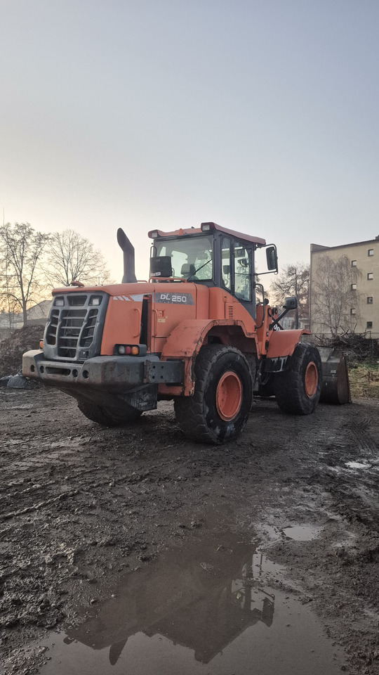 Wiellader DOOSAN DL250-3