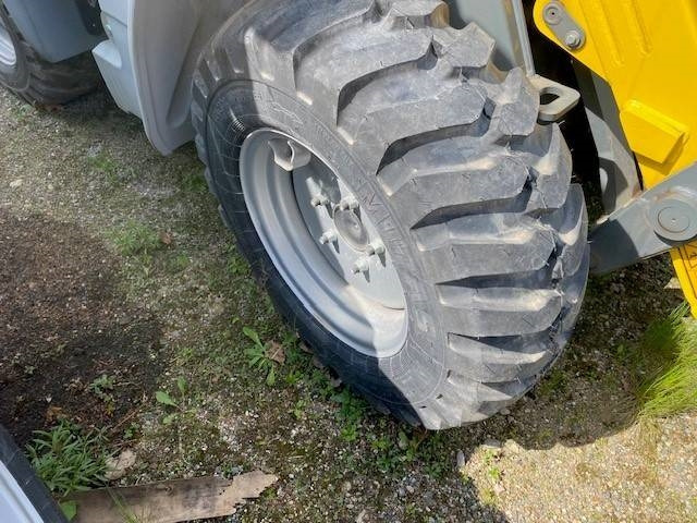 Wiellader Kramer 5035 MIETE / RENTAL Niedrigkabine (12002042)