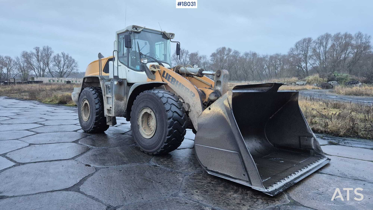 Wiellader LIEBHERR L576 wheel loader (2017)