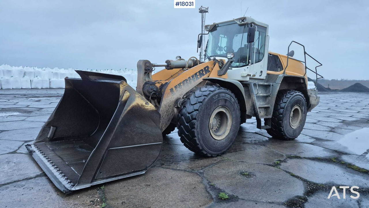 Wiellader LIEBHERR L576 wheel loader (2017)