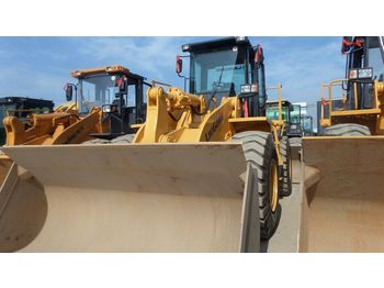 Wiellader LIUGONG 856