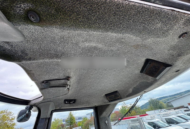 Wiellader Terex TL 100