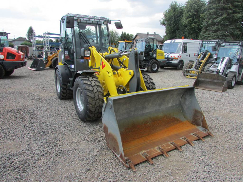 Wiellader WACKER NEUSON WL 52 Radlader 39.900 EUR