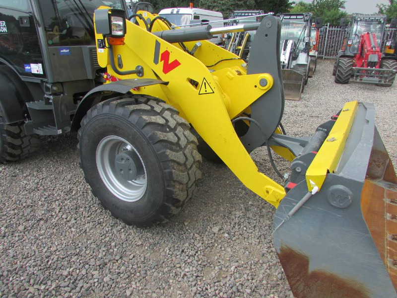 Wiellader WACKER NEUSON WL 52 Radlader 39.900 EUR