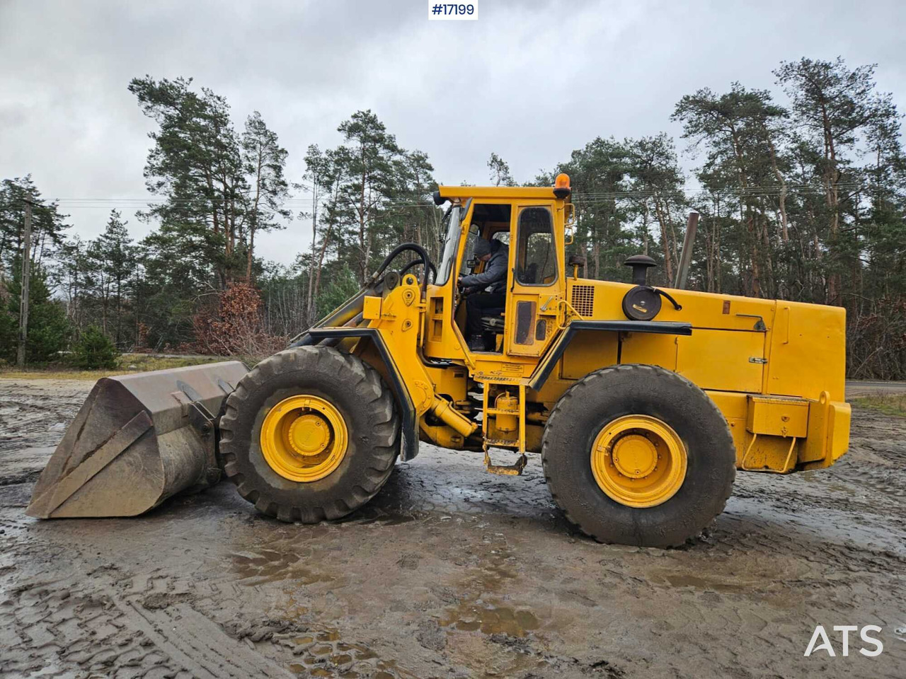 Wiellader Wheel loader VOLVO 4500 (1984)