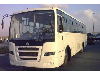 Ashok Leyland FALCON - Streekbus