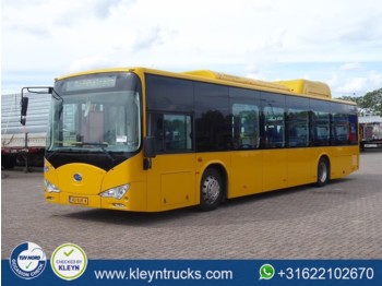 Stadsbus BYD EBUS 12 GREENCITY full electric: afbeelding 1