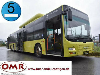 Stadsbus MAN A 26 Lion´s City L / NL 313 CNG: afbeelding 1