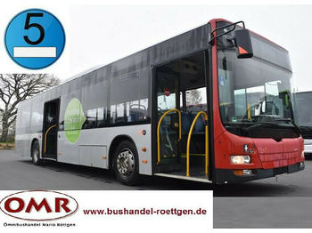 Stadsbus MAN A 37 Lion´s City /A20/A21/530/Citaro/EEV: afbeelding 1