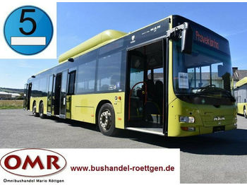 Stadsbus MAN MAN A 26 Lion´s City L / NL 313 CNG: afbeelding 1