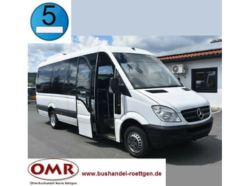 Minibus, Personenvervoer Mercedes-Benz 516 CDI Sprinter/Crafter/Master/Klima/Euro 5: afbeelding 1