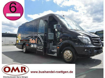 Minibus, Personenvervoer Mercedes-Benz 519 CDI / Sprinter / THT-Ausbau: afbeelding 1