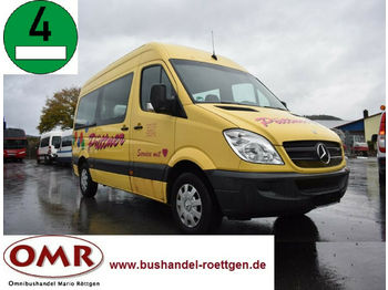 Minibus, Personenvervoer Mercedes-Benz 906 AC 30 Sprinter: afbeelding 1