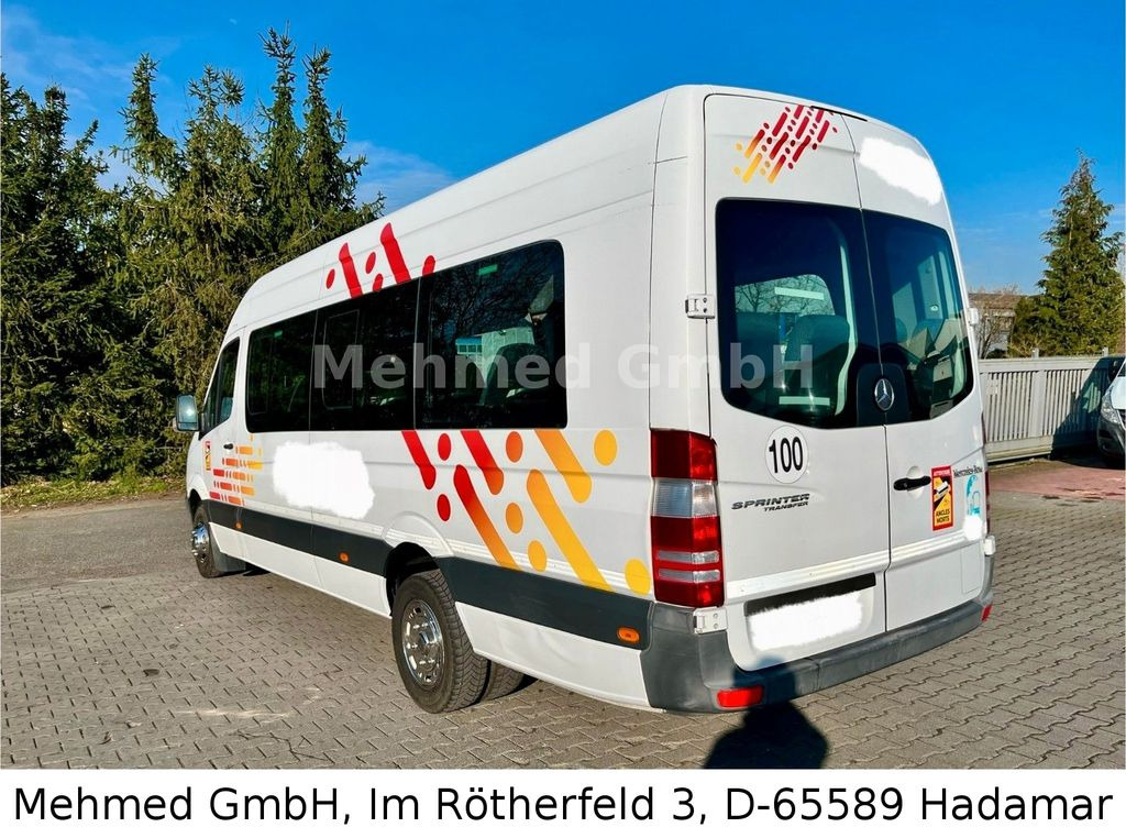Minibus, Personenvervoer Mercedes-Benz Sprinter 513 CDi: afbeelding 3