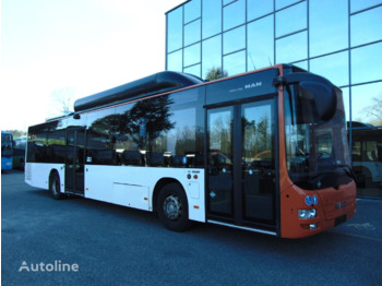 MAN Lion's City - Stadsbus