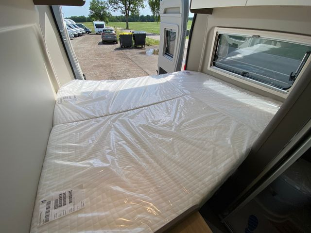 Buscamper Carado CV 600 Aufstelldach,  white Label