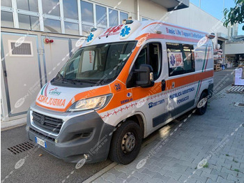 FIAT 290 Ducato ORION (ID 3075) - Ambulance