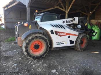 Verreiker Bobcat tl30.60