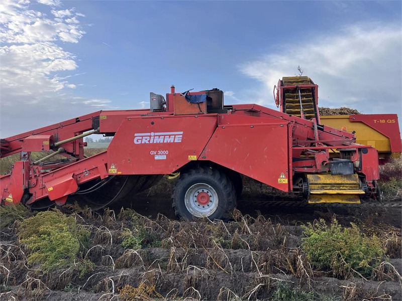 Aardappelrooier Grimme GV 3000