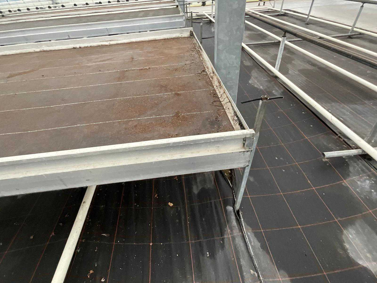Landbouwmachine Aluminum cultivation table (4.50x1.63 mtr) (50x)