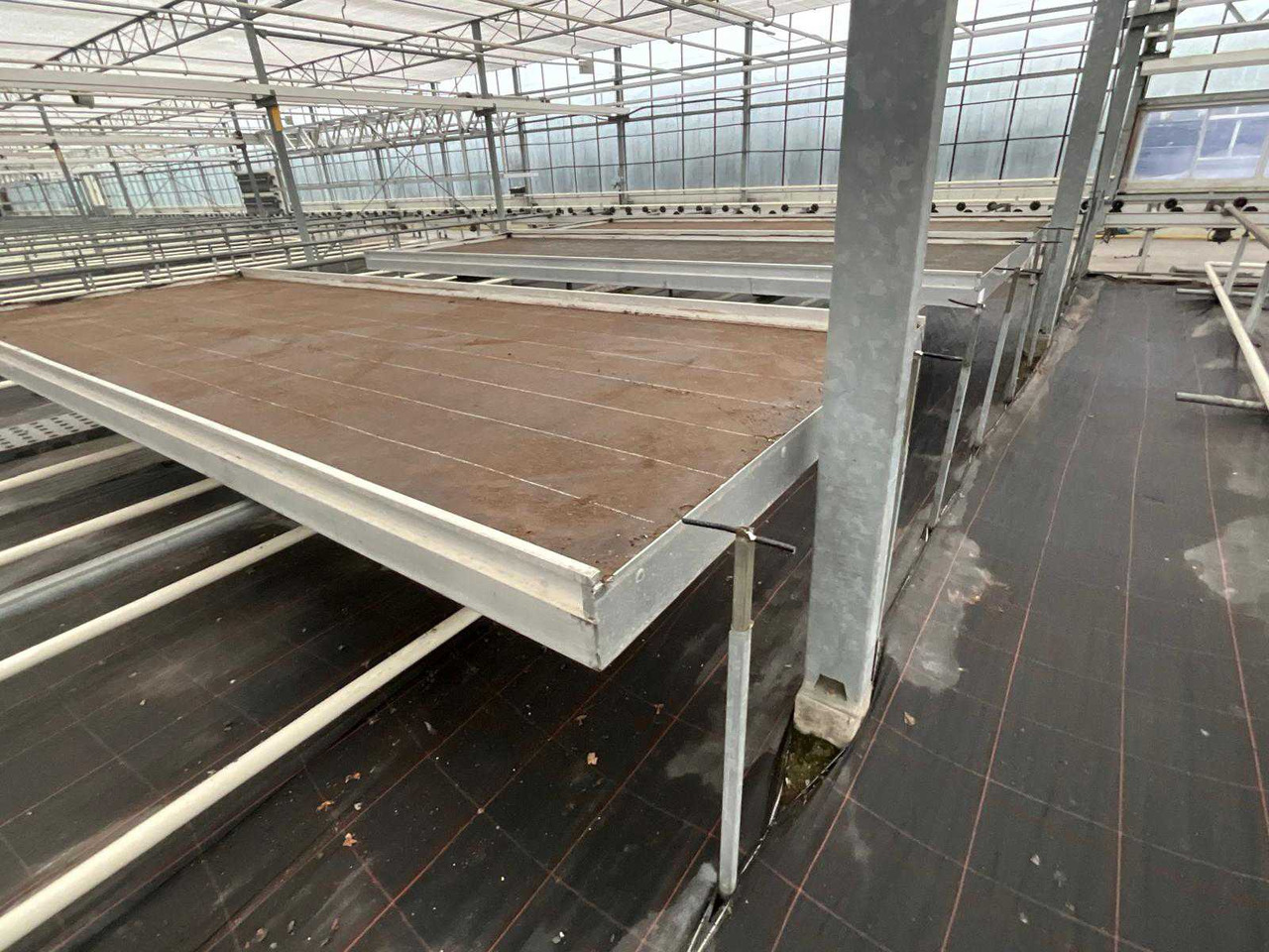 Landbouwmachine Aluminum cultivation table (4.50x1.63 mtr) (50x)