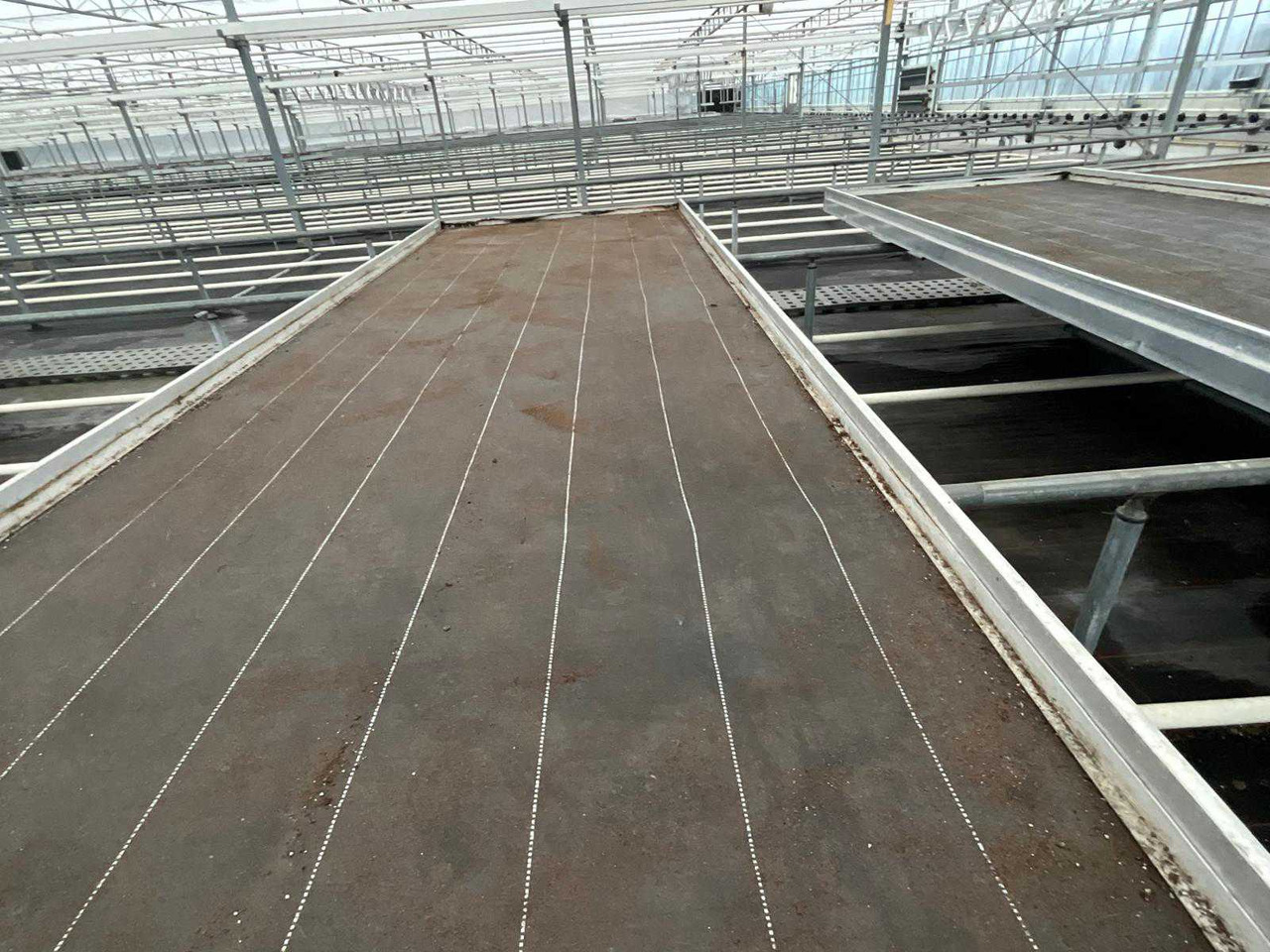 Landbouwmachine Aluminum cultivation table (4.50x1.63 mtr) (50x)