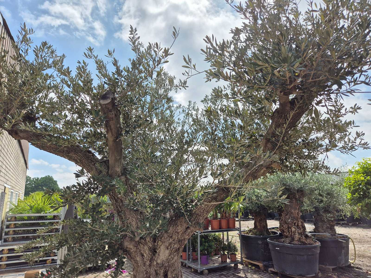 Landbouwmachine Castelano