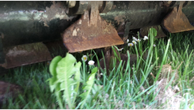 Klepelmaaier/ Mulcher Boxer agri Boxer klepelmaaier