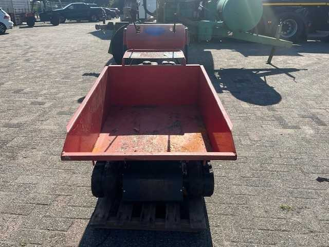 Landbouwkipper boxer