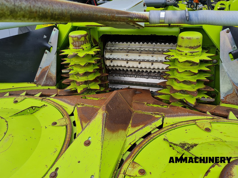 Maiskolvenplukker Claas Orbis 600SD rotary corn header