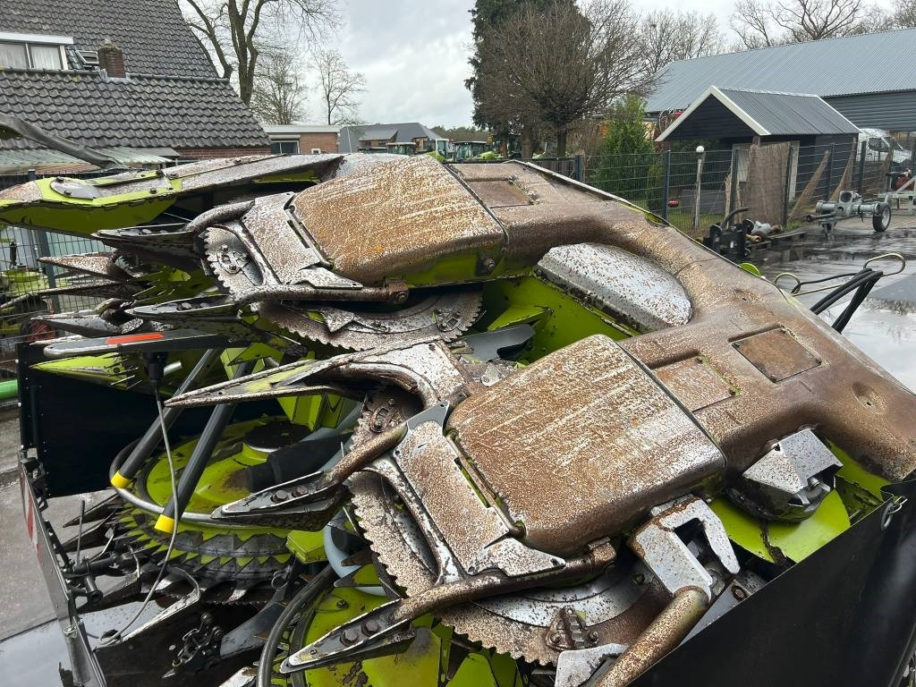 Maiskolvenplukker Claas Orbis 600 SD