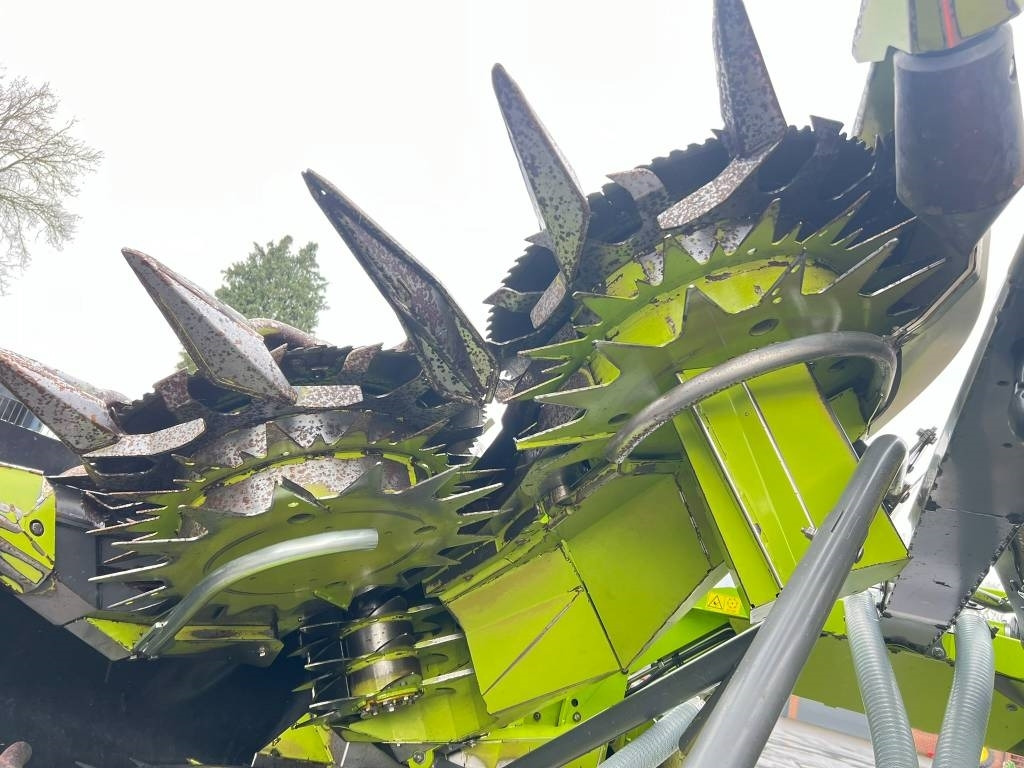 Maiskolvenplukker Claas Orbis 600 SD