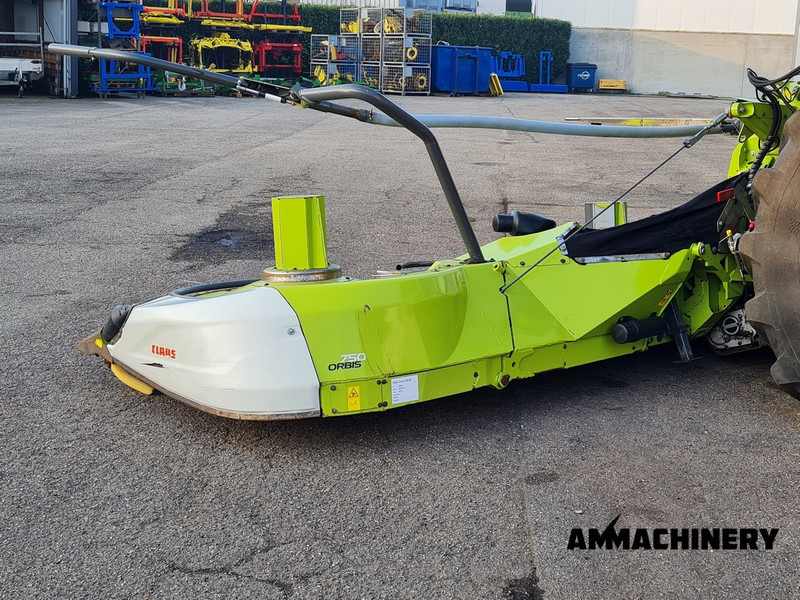 Maiskolvenplukker Claas Orbis 750 I63 rotary corn header
