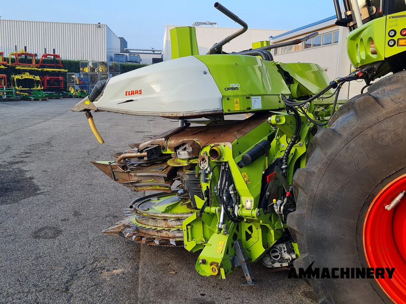 Maiskolvenplukker Claas Orbis 750 I63 rotary corn header