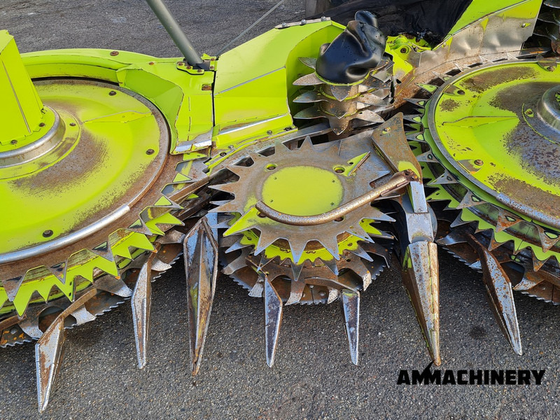 Maiskolvenplukker Claas Orbis 750 I63 rotary corn header