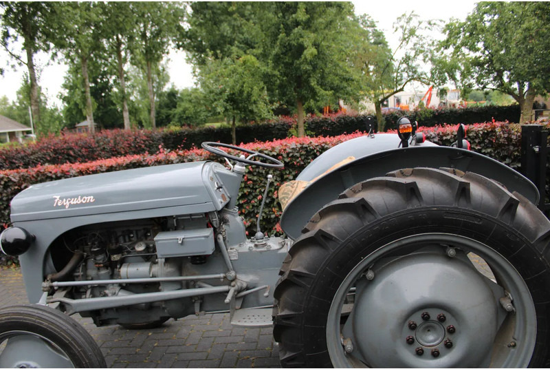 Tractor Ferguson TED