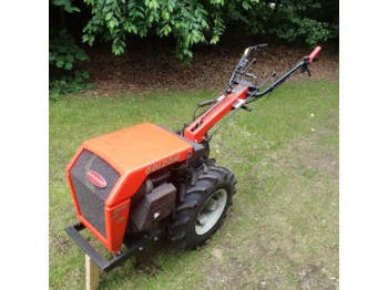 Tuinfrees Goldini 128 *AB13*